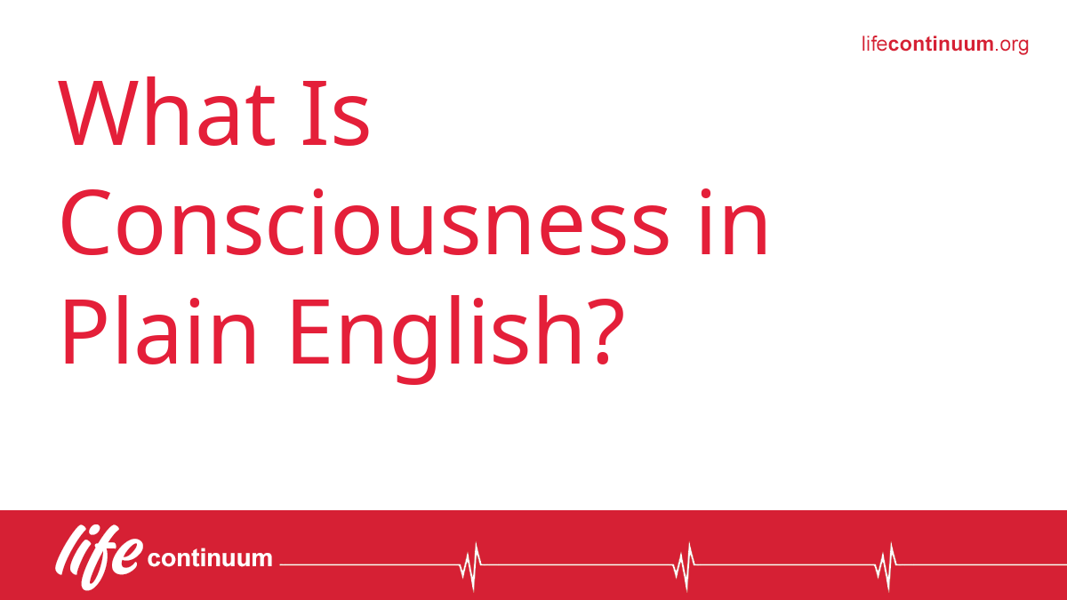 What Is Consciousness in Plain English?