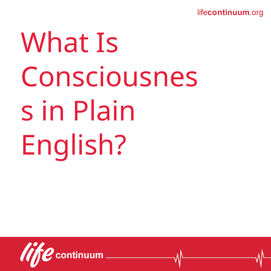 What Is Consciousness in Plain English?