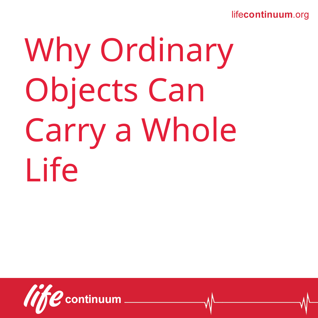 Why Ordinary Objects Can Carry a Whole Life