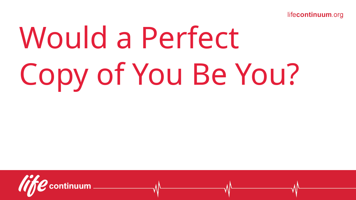 Would a Perfect Copy of You Be You?