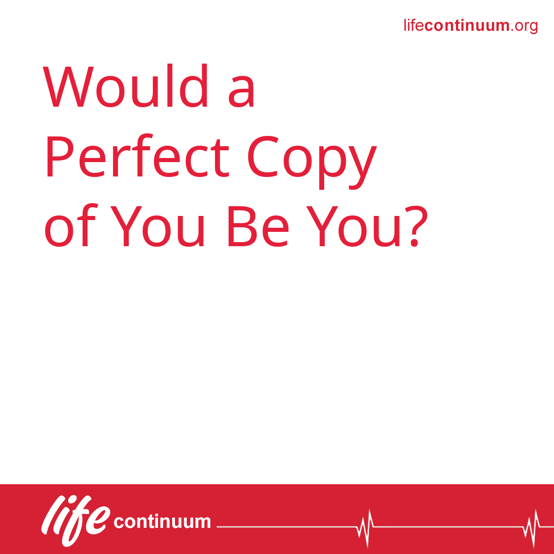Would a Perfect Copy of You Be You?