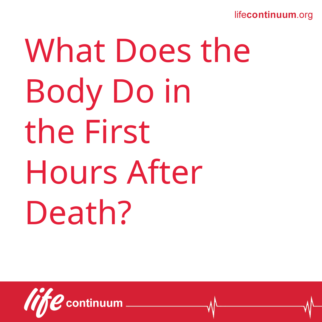 What Does the Body Do in the First Hours After Death?